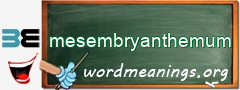 WordMeaning blackboard for mesembryanthemum